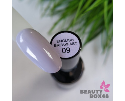 Гель-лак BeautyBox48 English Breakfast №09 10g